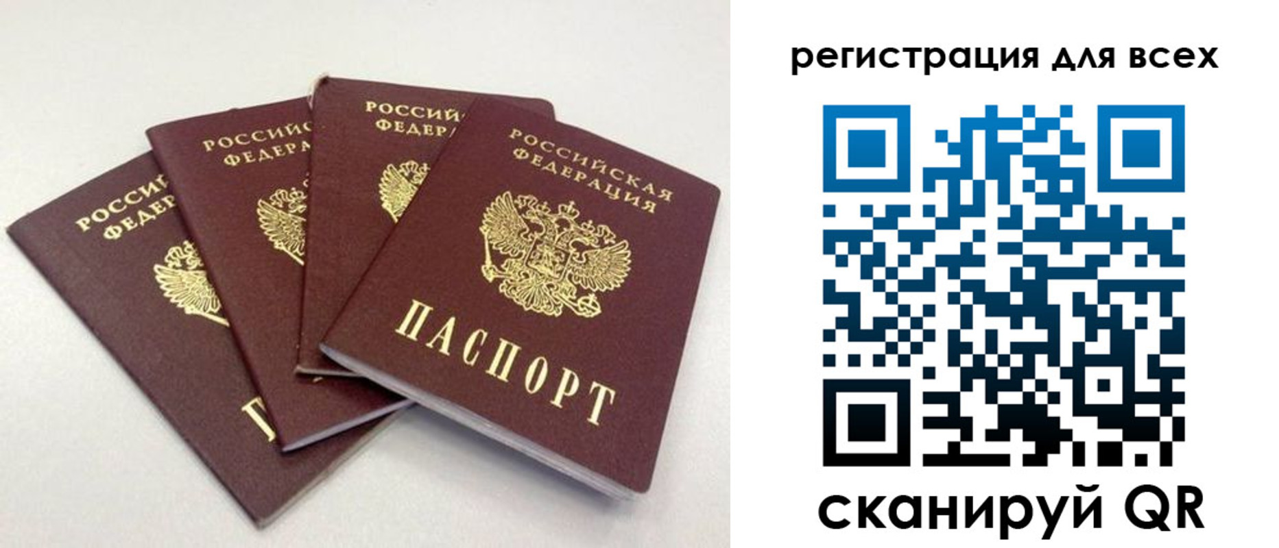 прописка законно в Волоколамске